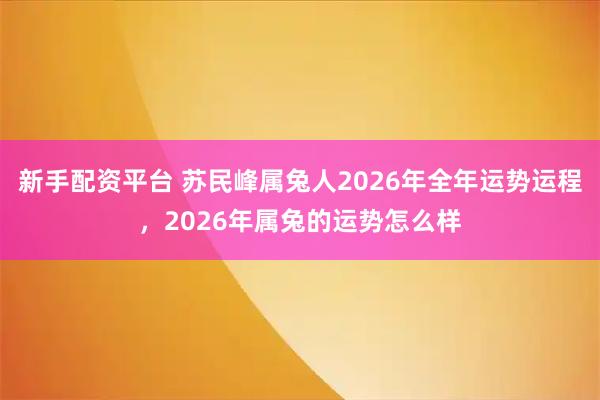 新手配资平台 苏民峰属兔人2026年全年运势运程，2026年属兔的运势怎么样